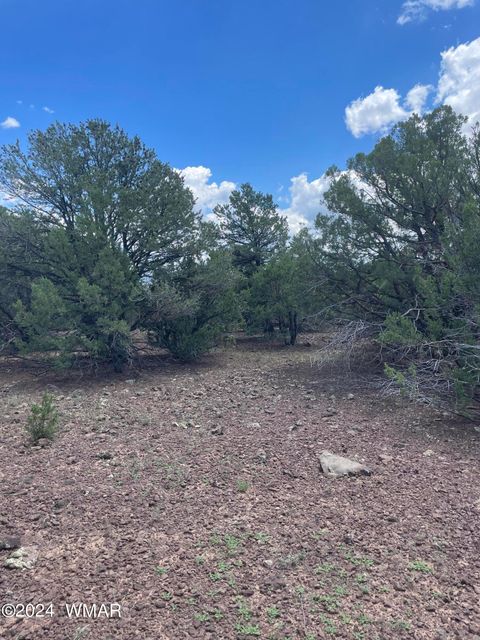 Tiny photo for 4 County Road 3331, Vernon, AZ 85940 (MLS # 252915)
