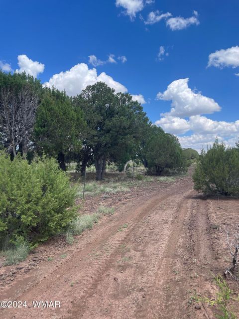 Tiny photo for 4 County Road 3331, Vernon, AZ 85940 (MLS # 252915)