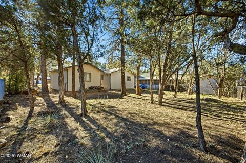 Tiny photo for 2060 Wilderness Drive, Overgaard, AZ 85928 (MLS # 258924)