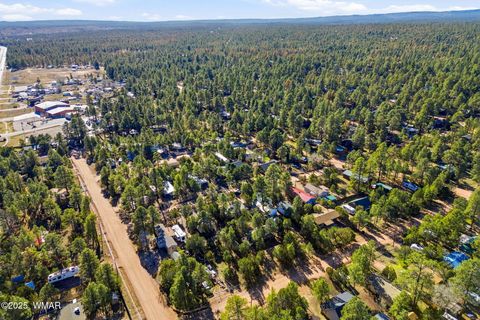 Tiny photo for 2060 Wilderness Drive, Overgaard, AZ 85928 (MLS # 258924)