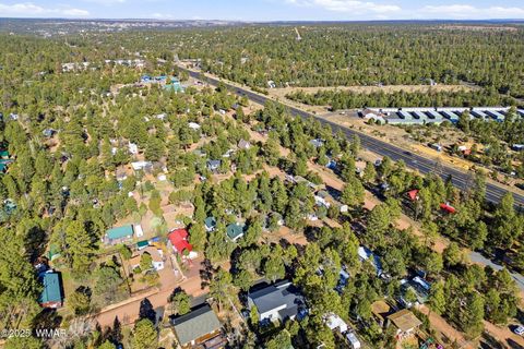 Tiny photo for 2060 Wilderness Drive, Overgaard, AZ 85928 (MLS # 258924)