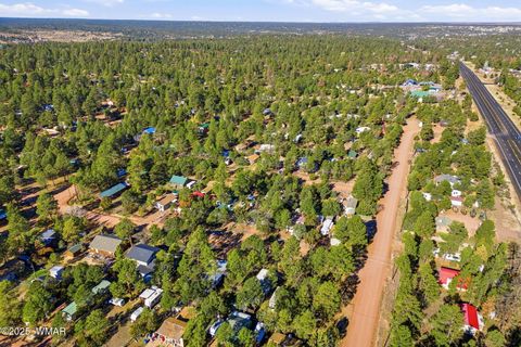 Tiny photo for 2060 Wilderness Drive, Overgaard, AZ 85928 (MLS # 258924)