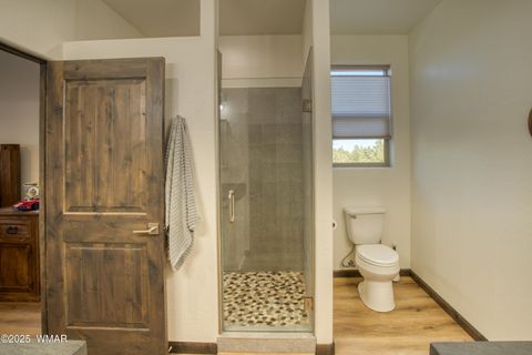 Tiny photo for 1281 W Snow Creek Trail, Show Low, AZ 85901 (MLS # 258650)