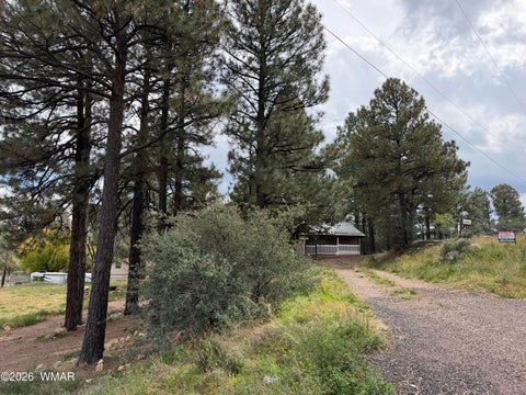 Tiny photo for 201 S 6th Place, Show Low, AZ 85901 (MLS # 263594)