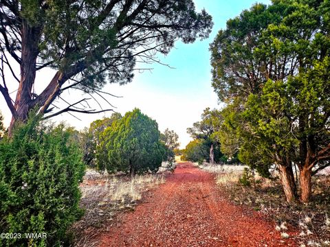Tiny photo for 1606 Echo Court, Show Low, AZ 85901 (MLS # 260730)