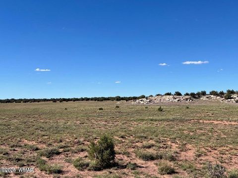 Photo of 002 N9027, Concho, AZ 85924 (MLS # 259172)