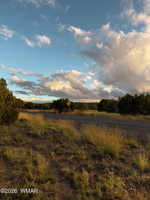 Tiny photo for 37 Cinder Drive, Concho, AZ 85924 (MLS # 263496)