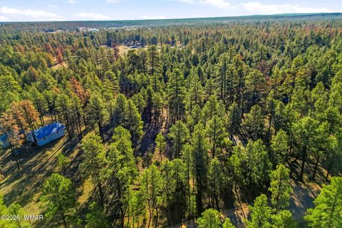 Tiny photo for 2090 Knotty Pine Circle, Overgaard, AZ 85933 (MLS # 259921)