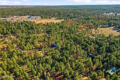 Tiny photo for 2090 Knotty Pine Circle, Overgaard, AZ 85933 (MLS # 259921)