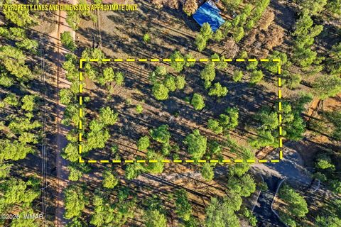 Tiny photo for 2090 Knotty Pine Circle, Overgaard, AZ 85933 (MLS # 259921)