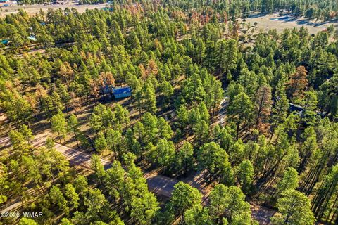 Tiny photo for 2090 Knotty Pine Circle, Overgaard, AZ 85933 (MLS # 259921)