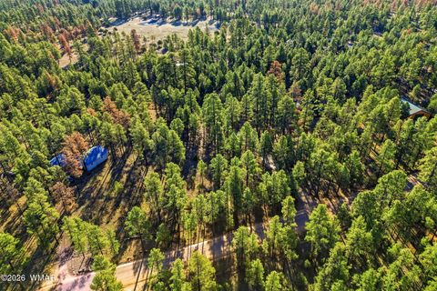 Tiny photo for 2090 Knotty Pine Circle, Overgaard, AZ 85933 (MLS # 259921)