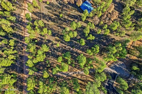 Tiny photo for 2090 Knotty Pine Circle, Overgaard, AZ 85933 (MLS # 259921)