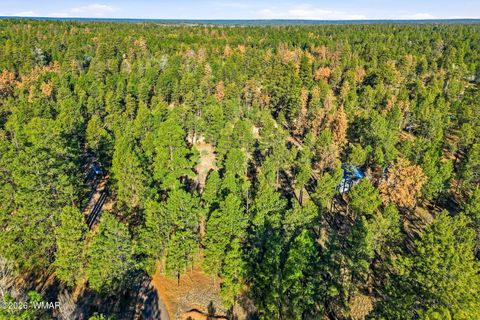 Tiny photo for 2090 Knotty Pine Circle, Overgaard, AZ 85933 (MLS # 259921)