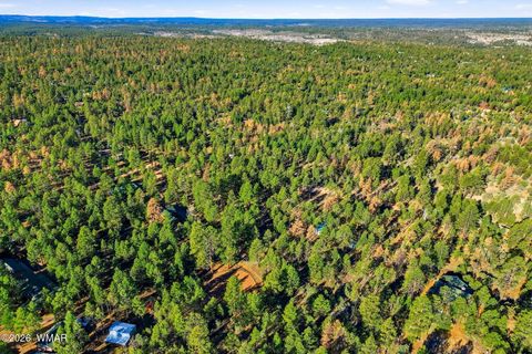 Tiny photo for 2090 Knotty Pine Circle, Overgaard, AZ 85933 (MLS # 259921)