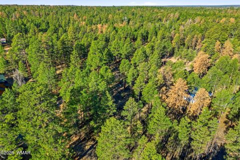 Tiny photo for 2090 Knotty Pine Circle, Overgaard, AZ 85933 (MLS # 259921)