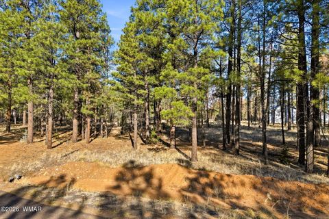 Tiny photo for 2090 Knotty Pine Circle, Overgaard, AZ 85933 (MLS # 259921)