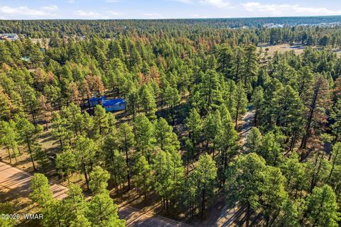 Tiny photo for 2090 Knotty Pine Circle, Overgaard, AZ 85933 (MLS # 259921)