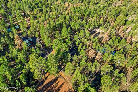 Tiny photo for 2090 Knotty Pine Circle, Overgaard, AZ 85933 (MLS # 259921)