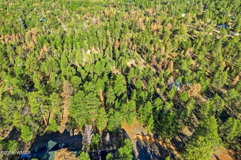 Tiny photo for 2090 Knotty Pine Circle, Overgaard, AZ 85933 (MLS # 259921)