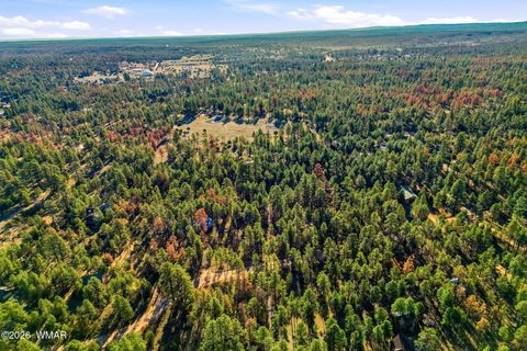 Tiny photo for 2090 Knotty Pine Circle, Overgaard, AZ 85933 (MLS # 259921)