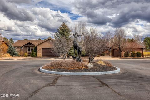 Tiny photo for 1101 N Bison Golf Court, Show Low, AZ 85901 (MLS # 259543)