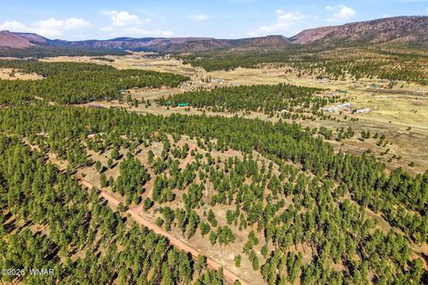 Tiny photo for TBD N2147, Alpine, AZ 85920 (MLS # 259757)
