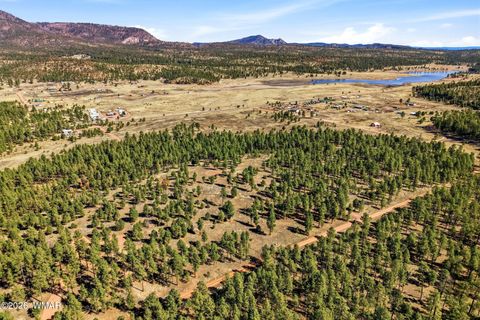 Tiny photo for TBD N2147, Alpine, AZ 85920 (MLS # 259757)