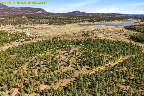 Photo of TBD N2147, Alpine, AZ 85920 (MLS # 259757)