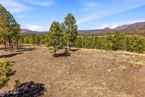 Tiny photo for TBD N2147, Alpine, AZ 85920 (MLS # 259757)