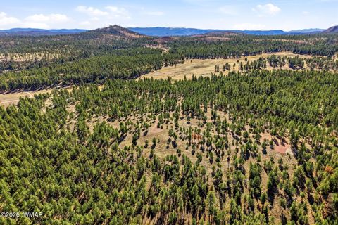 Tiny photo for TBD N2147, Alpine, AZ 85920 (MLS # 259757)