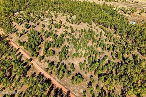 Tiny photo for TBD N2147, Alpine, AZ 85920 (MLS # 259757)