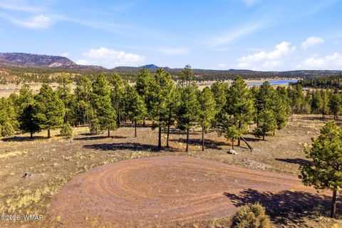 Tiny photo for TBD N2147, Alpine, AZ 85920 (MLS # 259757)