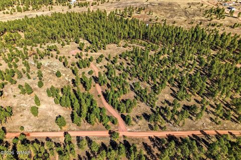 Tiny photo for TBD N2147, Alpine, AZ 85920 (MLS # 259757)