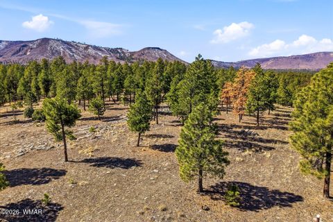 Tiny photo for TBD N2147, Alpine, AZ 85920 (MLS # 259757)