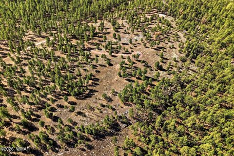 Tiny photo for TBD N2147, Alpine, AZ 85920 (MLS # 259757)