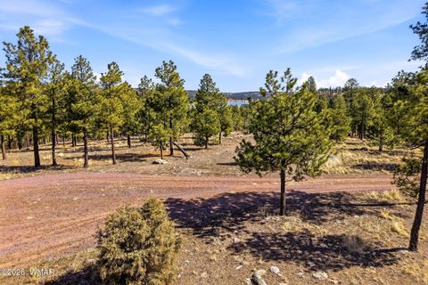 Tiny photo for TBD N2147, Alpine, AZ 85920 (MLS # 259757)