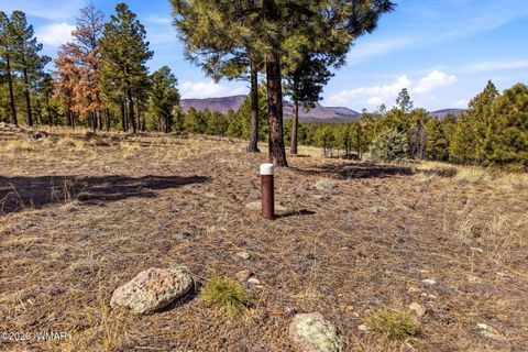 Tiny photo for TBD N2147, Alpine, AZ 85920 (MLS # 259757)