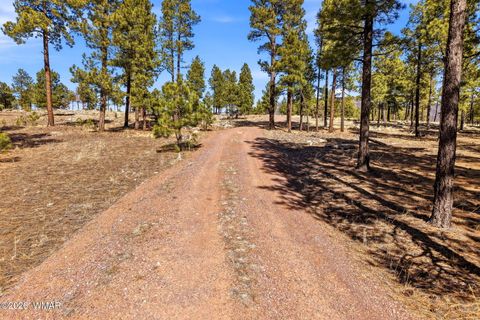 Tiny photo for TBD N2147, Alpine, AZ 85920 (MLS # 259757)
