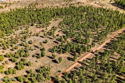 Tiny photo for TBD N2147, Alpine, AZ 85920 (MLS # 259757)