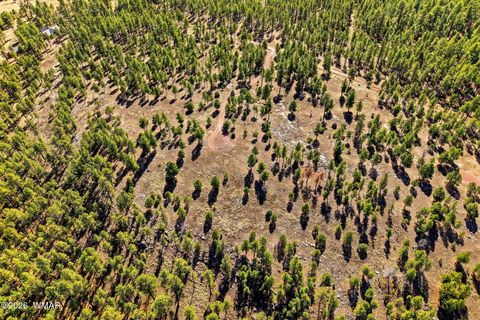 Tiny photo for TBD N2147, Alpine, AZ 85920 (MLS # 259757)