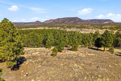 Tiny photo for TBD N2147, Alpine, AZ 85920 (MLS # 259757)