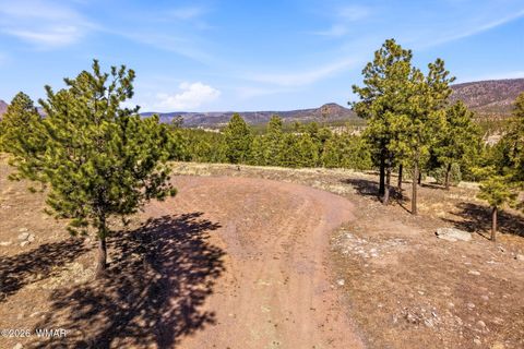 Tiny photo for TBD N2147, Alpine, AZ 85920 (MLS # 259757)