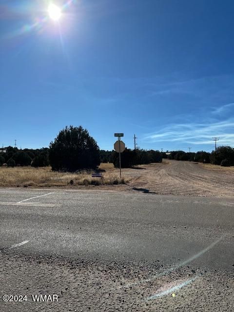Photo of 8419 Silver Creek Drive, Show Low, AZ 85901 (MLS # 253964)