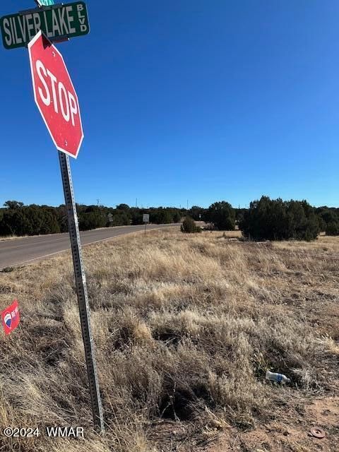 Tiny photo for 8419 Silver Creek Drive, Show Low, AZ 85901 (MLS # 253964)