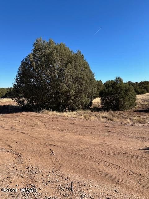 Tiny photo for 8419 Silver Creek Drive, Show Low, AZ 85901 (MLS # 253964)