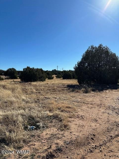 Tiny photo for 8419 Silver Creek Drive, Show Low, AZ 85901 (MLS # 253964)