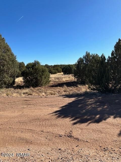 Tiny photo for 8419 Silver Creek Drive, Show Low, AZ 85901 (MLS # 253964)