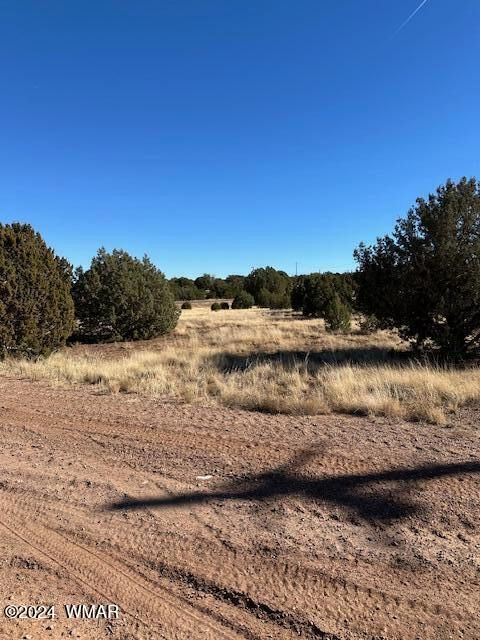 Tiny photo for 8419 Silver Creek Drive, Show Low, AZ 85901 (MLS # 253964)