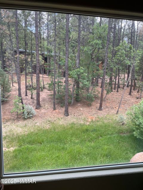 Tiny photo for 3880 S Mule Skinner Loop, Show Low, AZ 85901 (MLS # 260350)